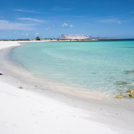 Casa vacanze Isuledda *