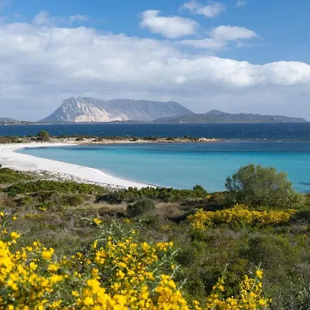 Isuledda * San Teodoro (Sardinia)